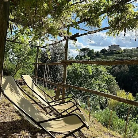 La Casa Di Andrea Semesterbostad Orvieto